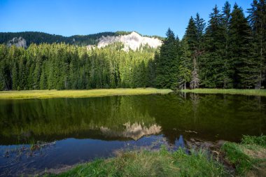 Bulgaristan 'ın Smolyan Bölgesi, Rodop Dağları' ndaki Grassy (Trevistoto) Smolyan Gölü 'nün muhteşem manzarası