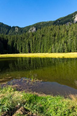 Bulgaristan 'ın Smolyan Bölgesi, Rodop Dağları' ndaki Grassy (Trevistoto) Smolyan Gölü 'nün muhteşem manzarası