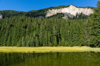 Bulgaristan 'ın Smolyan Bölgesi, Rodop Dağları' ndaki Grassy (Trevistoto) Smolyan Gölü 'nün muhteşem manzarası