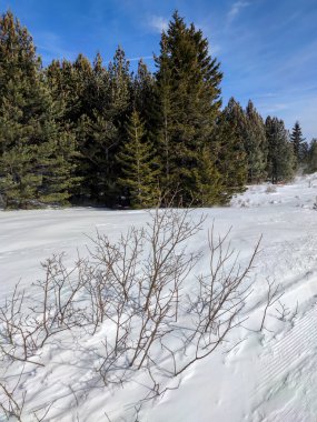 Bulgaristan 'ın Sofya Şehir Bölgesi' ndeki Vitosha Dağı 'nın muhteşem kış manzarası