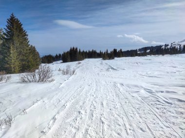 Bulgaristan 'ın Sofya Şehir Bölgesi' ndeki Vitosha Dağı 'nın muhteşem kış manzarası