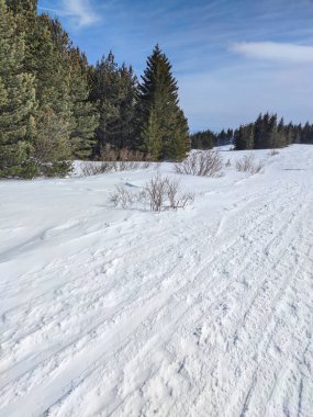 Bulgaristan 'ın Sofya Şehir Bölgesi' ndeki Vitosha Dağı 'nın muhteşem kış manzarası