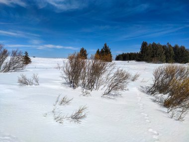 Bulgaristan 'ın Sofya Şehir Bölgesi' ndeki Vitosha Dağı 'nın muhteşem kış manzarası