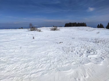 Bulgaristan 'ın Sofya Şehir Bölgesi' ndeki Vitosha Dağı 'nın muhteşem kış manzarası