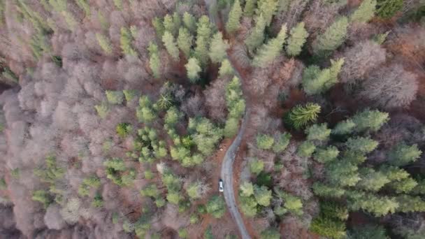 Luftaufnahme Des Pirin Gebirges Der Region Popina Laka Der Nähe — Stockvideo