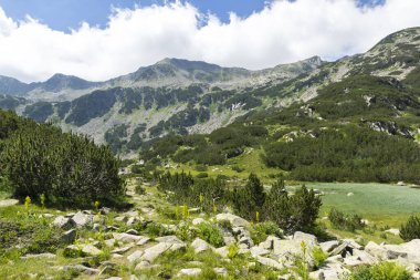 Banderitsa Nehri, Pirin Dağı, Bulgaristan ile İnanılmaz Manzara