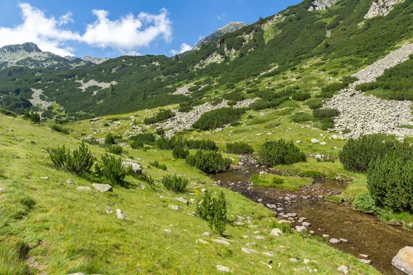Banderitsa Nehri, Pirin Dağı, Bulgaristan ile İnanılmaz Manzara