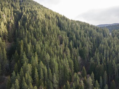 Bulgaristan 'ın Sandanski kenti yakınlarındaki Popina Laka bölgesinde Pirin Dağı' nın hava manzarası