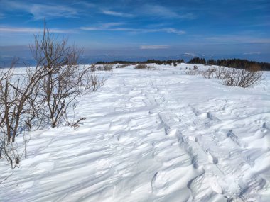 Bulgaristan 'ın Sofya Şehir Bölgesi' ndeki Vitosha Dağı 'nın muhteşem kış manzarası