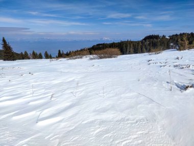 Bulgaristan 'ın Sofya Şehir Bölgesi' ndeki Vitosha Dağı 'nın muhteşem kış manzarası