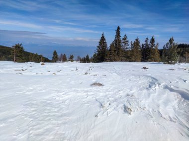 Bulgaristan 'ın Sofya Şehir Bölgesi' ndeki Vitosha Dağı 'nın muhteşem kış manzarası