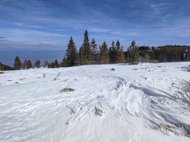 Bulgaristan 'ın Sofya Şehir Bölgesi' ndeki Vitosha Dağı 'nın muhteşem kış manzarası