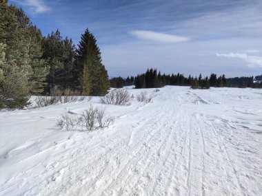 Bulgaristan 'ın Sofya Şehir Bölgesi, Vitosha Dağı' nın İnanılmaz Kış Panoraması