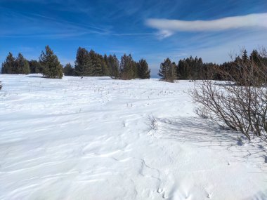 Bulgaristan 'ın Sofya Şehir Bölgesi, Vitosha Dağı' nın İnanılmaz Kış Panoraması
