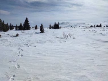 Bulgaristan 'ın Sofya Şehir Bölgesi, Vitosha Dağı' nın İnanılmaz Kış Panoraması