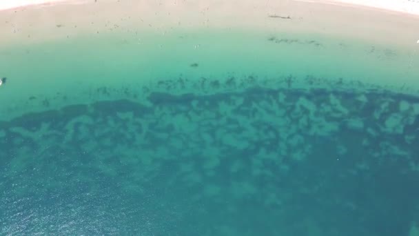 Widok Powietrza Gradina Ogród Plaża Pobliżu Miasta Sozopol Obwód Burgas — Wideo stockowe