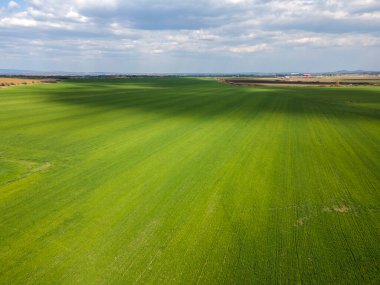 Bulgaristan 'ın Filibe Bölgesi Parvomay kasabası yakınlarındaki Yukarı Trakya Ovası' nın hava manzarası