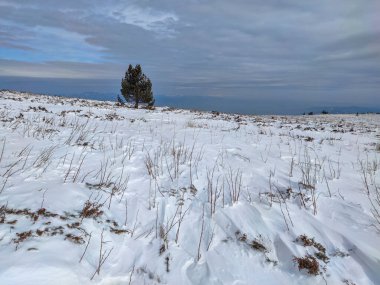 Vitosha Dağı 'nın kış manzarası, Sofya Şehir Bölgesi, Bulgaristan