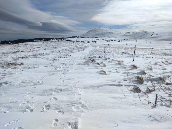 Winter Landscape Vitosha Mountain Sofia City Region Bulgaria — Stock Photo, Image