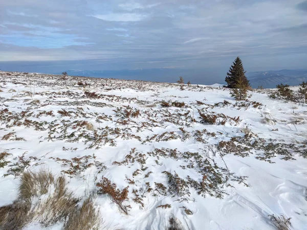 Winter Landscape Vitosha Mountain Sofia City Region Bulgaria — Stock Photo, Image