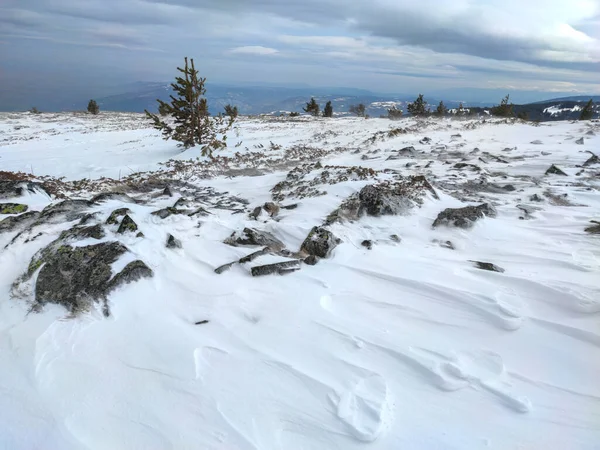 Paisaje Invernal Montaña Vitosha Región Ciudad Sofía Bulgaria — Foto de Stock