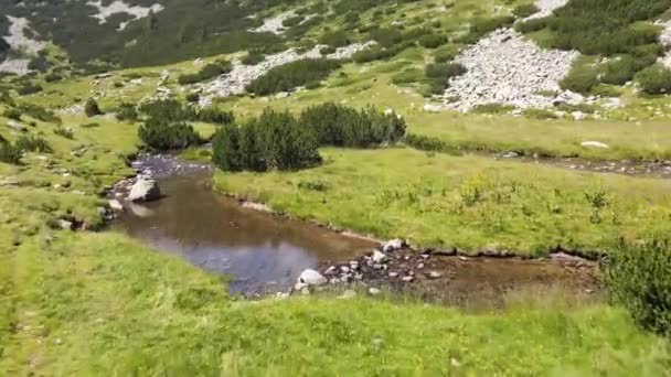 Vista Aérea Rio Banderitsa Montanha Pirin Bulgária — Vídeo de Stock