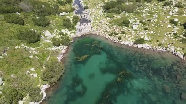 Pemandangan Udara Danau Fish Banderitsa Pirin Mountain Bulgaria — Stok Video