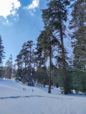 Bulgaristan 'ın Filibe Bölgesi' ndeki Rodos Dağı 'ndaki Byala Cthe bölgesinin kış manzarası