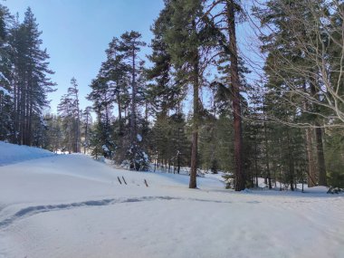 Bulgaristan 'ın Filibe Bölgesi' ndeki Rodos Dağı 'ndaki Byala Cthe bölgesinin kış manzarası
