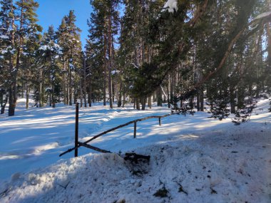 Bulgaristan 'ın Filibe Bölgesi' ndeki Rodos Dağı 'ndaki Byala Cthe bölgesinin kış manzarası