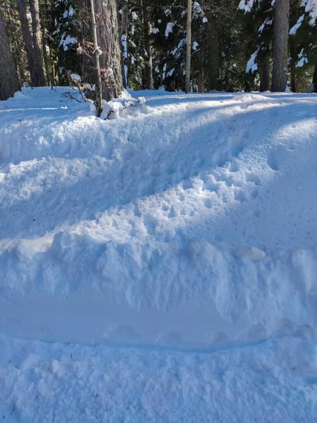 Winter Blick Auf Byala Cherkva Region Auf Den Rhodopen Plovdiv — Stockfoto