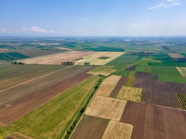 Bulgaristan 'ın Filibe Bölgesi' nin Tsalapitsa köyü yakınlarındaki Yukarı Trakya Ovası 'nın hava manzarası