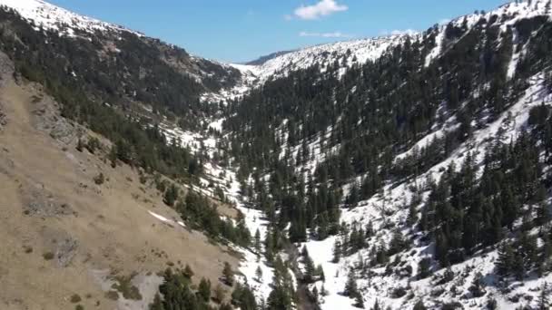 Flygfoto Över Rila Mountain Nära Suand Lake Den Torra Sjön — Stockvideo