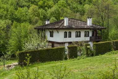 Bulgaristan 'ın Gabrovo bölgesinin tarihi Bozhentsi köyündeki tipik sokak ve eski evler