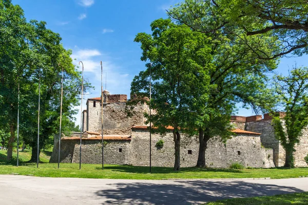 中世のババ ヴィダ要塞 中世のババ ヴィダ要塞 ブルガリアのヴィディン町ドナウ川沿岸 — ストック写真