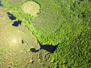 Sofya Bölgesi, Bulgaristan 'daki Lozenska Dağı' ndaki Sua Gabra Gölleri 'nin hava manzarası