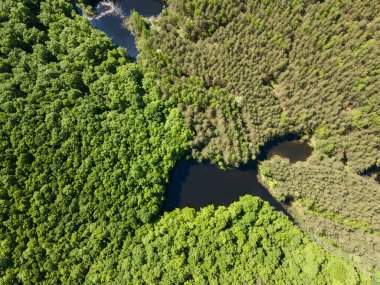 Sofya Bölgesi, Bulgaristan 'daki Lozenska Dağı' ndaki Sua Gabra Gölleri 'nin hava manzarası