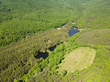 Sofya Bölgesi, Bulgaristan 'daki Lozenska Dağı' ndaki Sua Gabra Gölleri 'nin hava manzarası