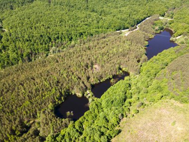 Sofya Bölgesi, Bulgaristan 'daki Lozenska Dağı' ndaki Sua Gabra Gölleri 'nin hava manzarası