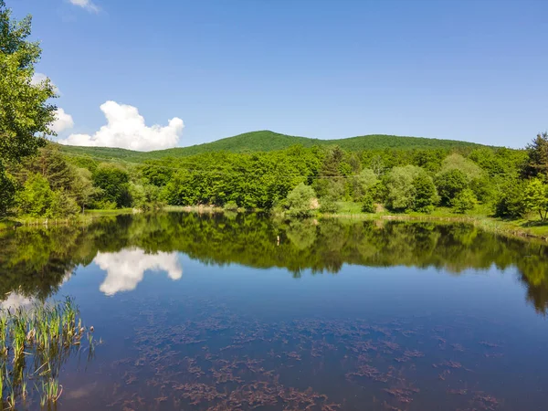保加利亚索菲亚州Lozenska山Sua Gabra湖的空中景观 — 图库照片
