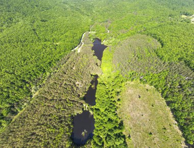 Bulgaristan 'ın Sofya Bölgesi, Lozenska Dağı' ndaki Sua Gabra Gölleri 'nin hava manzarası