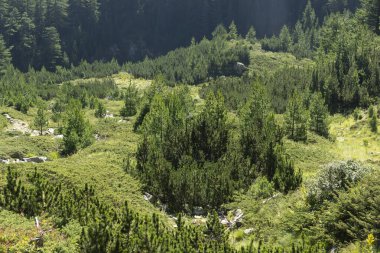 Bulgaristan 'ın Vihren kulübesi yakınlarındaki Pirin Dağı' nın muhteşem manzarası