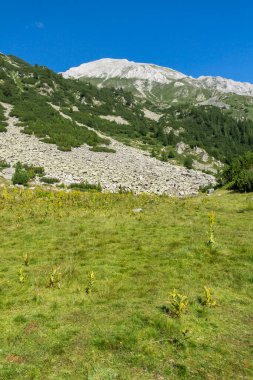 Bulgaristan 'ın Vihren kulübesi yakınlarındaki Pirin Dağı' nın muhteşem manzarası