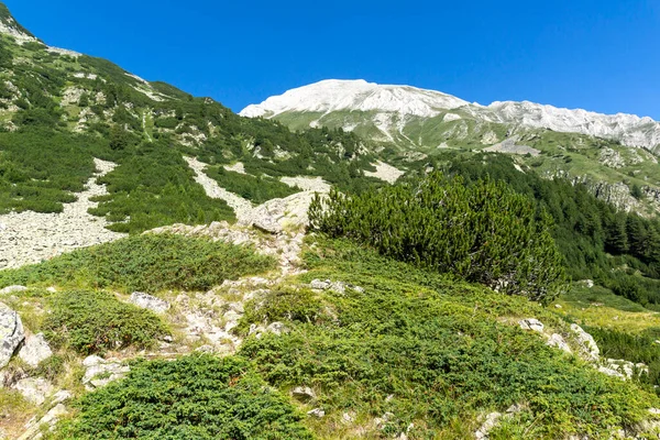 Amazing Landscape Pirin Mountain Vihren Hut Bulgaria — Stock Photo, Image