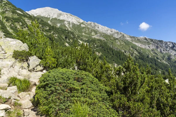 Amazing Landscape Pirin Mountain Vihren Hut Bulgaria — Stock Photo, Image