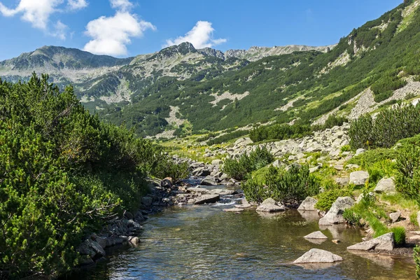 Paysage Incroyable Montagne Pirin Près Cabane Vihren Bulgarie — Photo