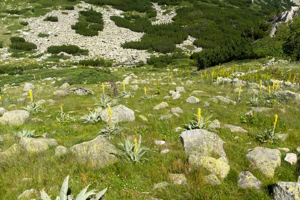 Fantastiskt Landskap Pirin Mountain Nära Vihren Hydda Bulgarien — Stockfoto