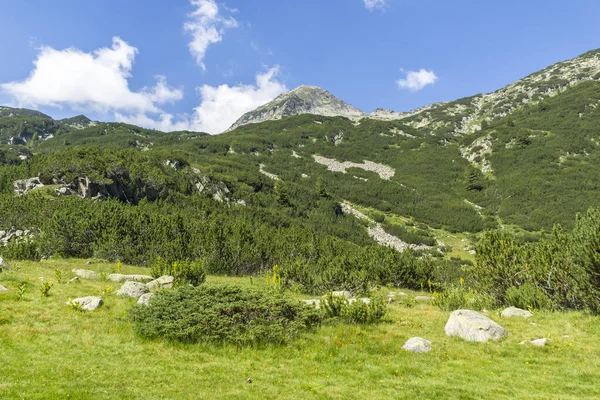 Úžasná Krajina Hory Pirin Blízkosti Vihrenu Bulharsko — Stock fotografie