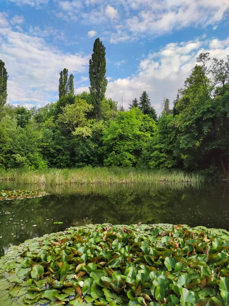 Весенний Вид Южного Парка Городе София Болгария — стоковое фото