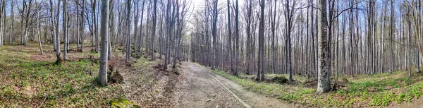 Uimitor Peisaj Panoramic Primăvară Din Muntele Vitosha Regiunea Orașului Sofia — Fotografie, imagine de stoc